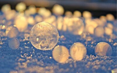 Winter Freeze Warning